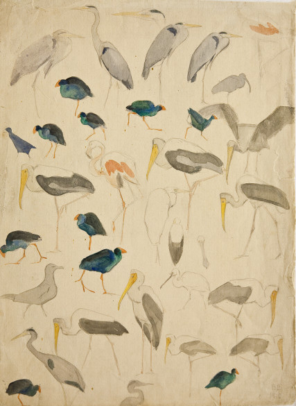 В. А. Ватагин. Цапли, султанки и другие птицы. 1910. Бумага, карандаш, акварель. Фото: Государственный Дарвиновский музей (Москва)