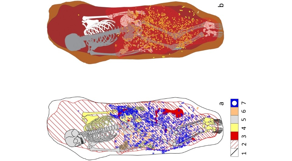   Fabio Martini et al. / Quaternary International, 2026