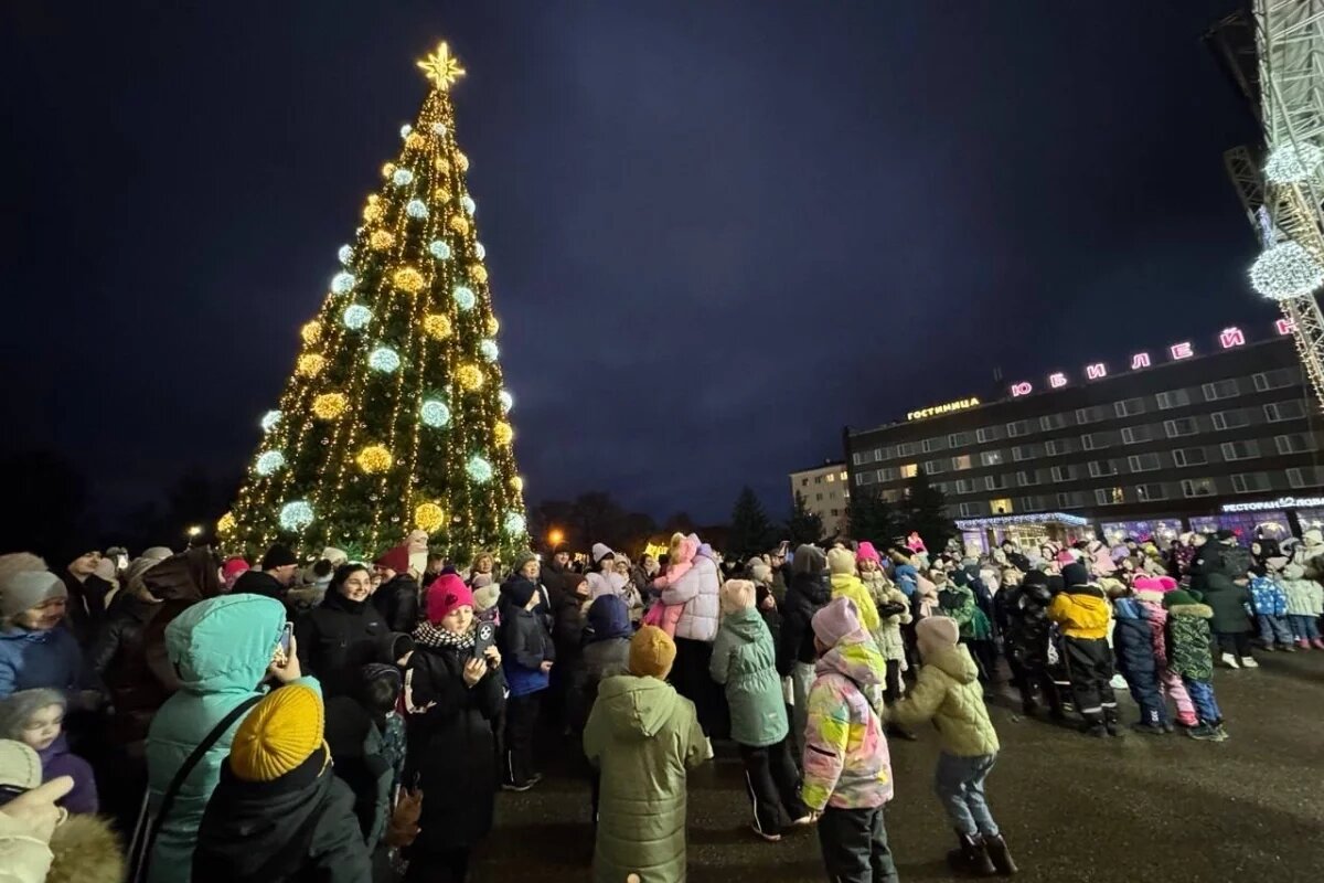    В Великих Луках зажгли огни на новогодней елке