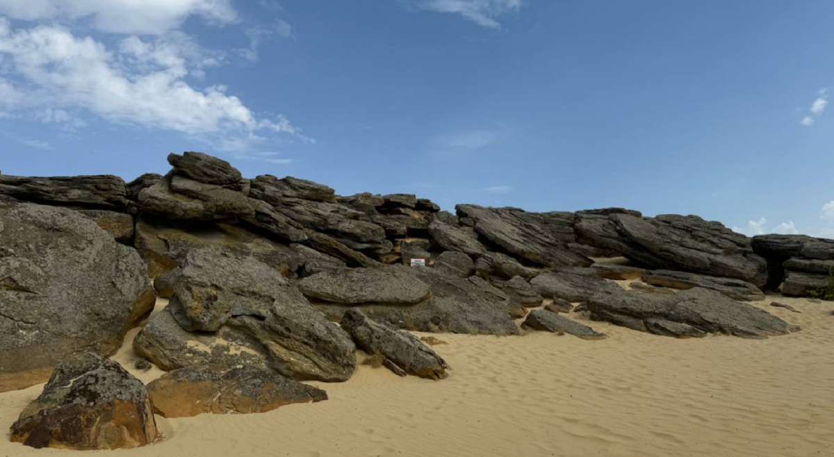 Фото: Новое.Медиа

