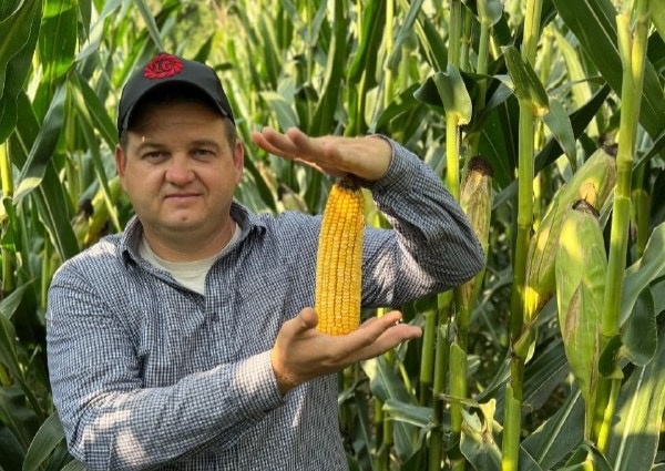 Максим Видничук, руководитель по культуре кукуруза компании «Лимагрен»

