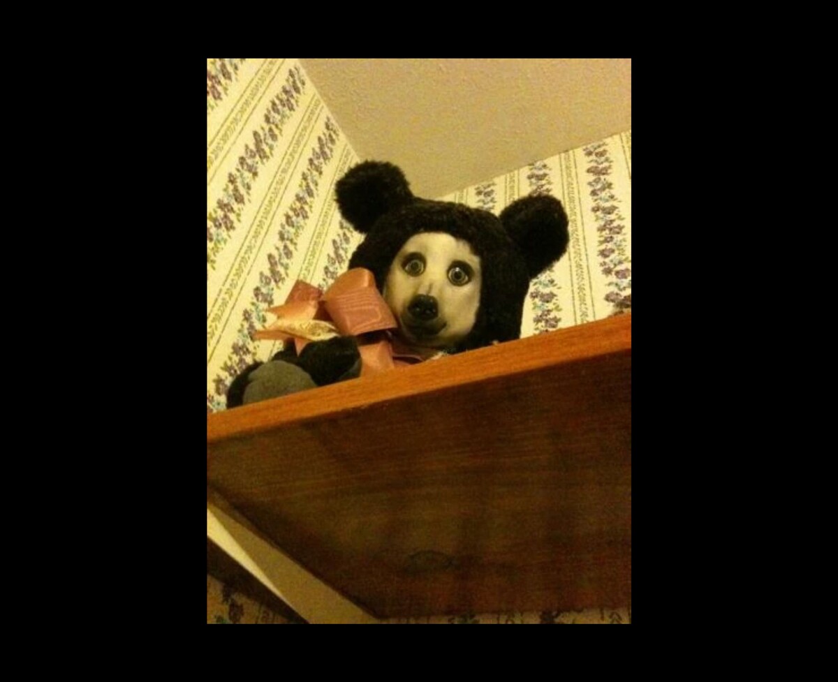 То самое фото