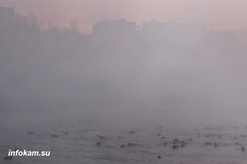    Утро на реке Камышинке,: вид на 6 микрорайон