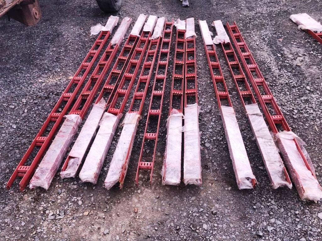    Фото: УТ МВД России по СЗФО/ВК