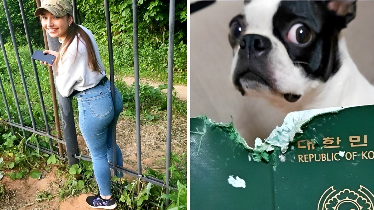 17 неудачливых людей, которые сегодня точно встали не с той ноги