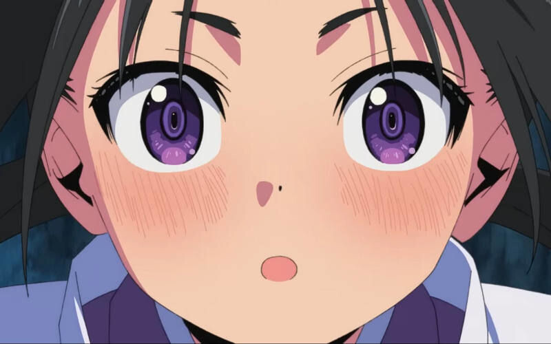 Сериал начинается с того, как Токиюки Ходжо, молодой самурай из ослабленного клана Ходжо, попадает в плен к врагам