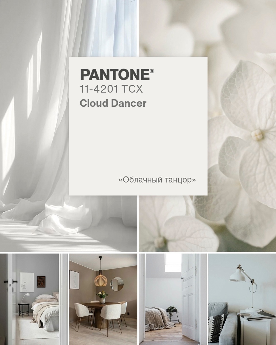 Цвет 2026 уже выбран! Встречаем «Облачного Танцора» ☁️