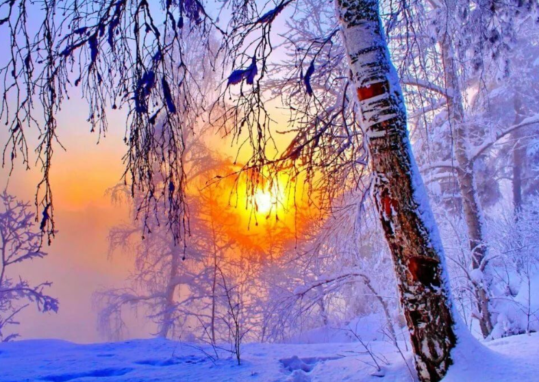 Зима , фото из интернета