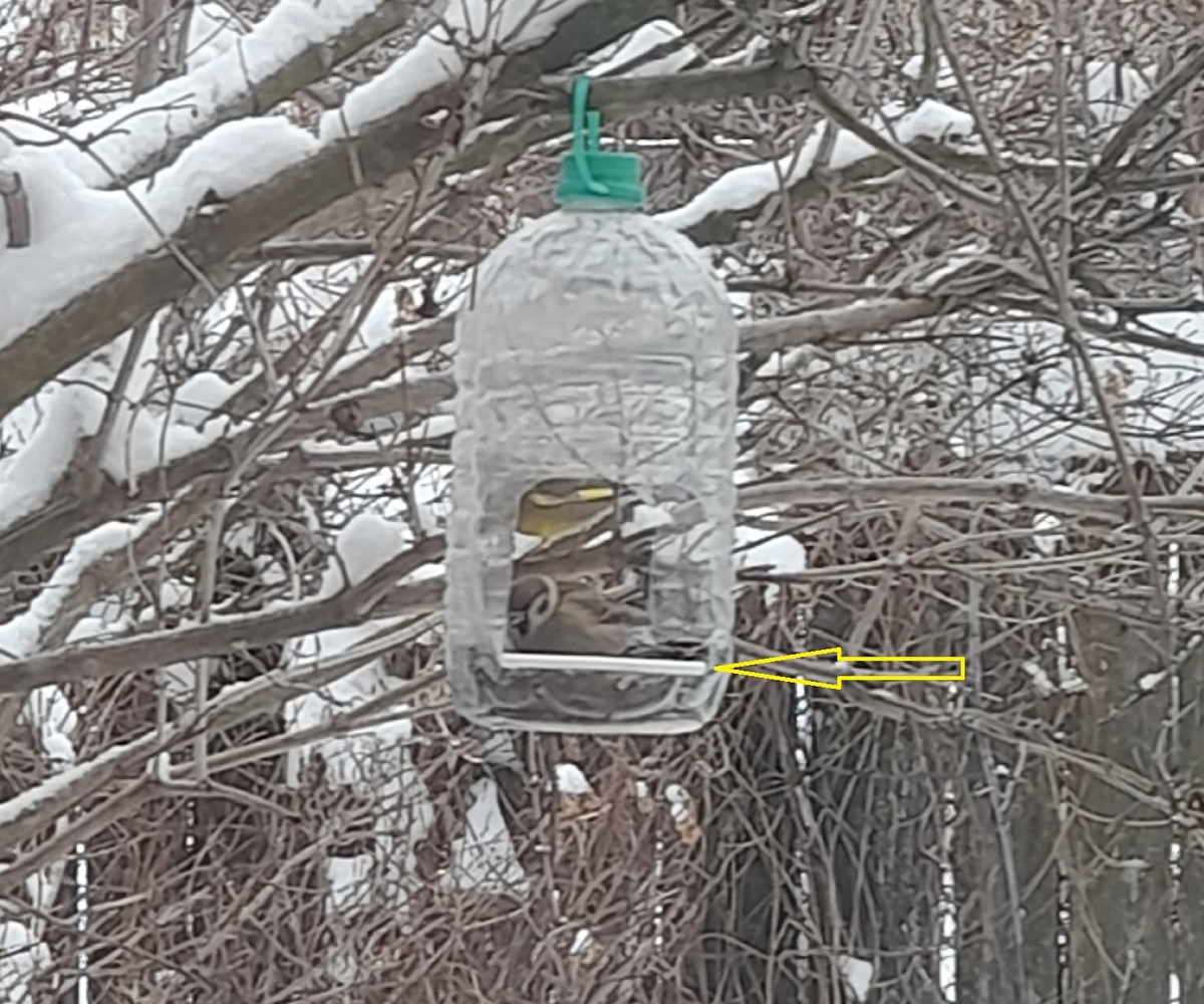 Обычная пластиковая бутылка и наклеенная трубочка.