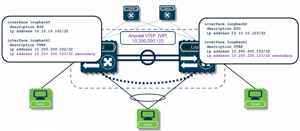 Primary IP (PIP) и Anycast IP (VIP)