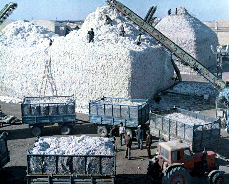 Укладка хлопка на пункте сбора, Туркменская ССР, 1987 г.