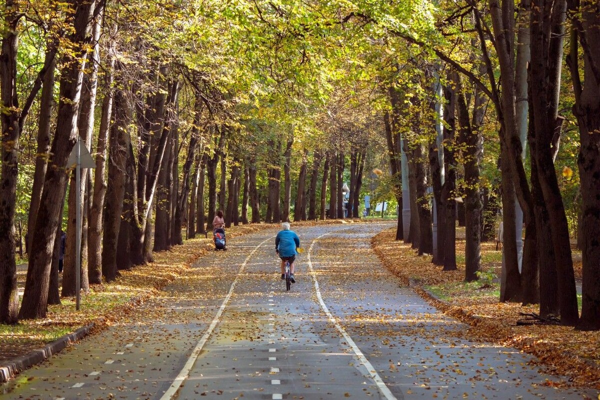 Возьмите велосипед напрокат и откройте для себя «Сокольники» с новой стороны — прокатитесь по тенистым аллеям и мимо живописных прудов. Источник: Stanislav71 / Shutterstock / FOTODOM📷
