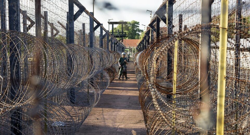    Aleksey Smyshlyaev/Global Look Press / www.globallookpress.com