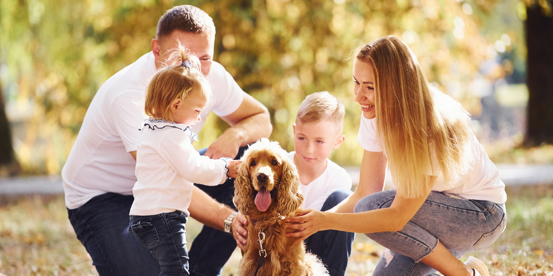 Как подготовиться к тому, что в доме будет жить щенок?
