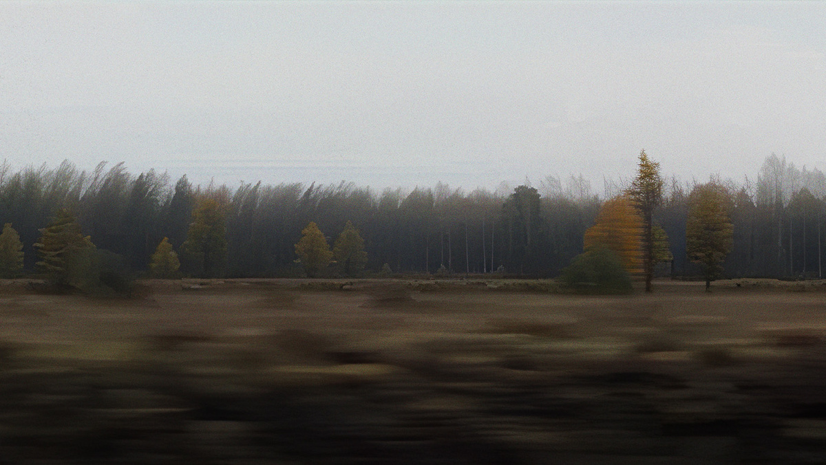   Предоставлено организаторами