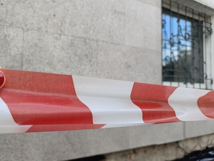     Фото: Анастасия Полторацкая / МК на Алтае