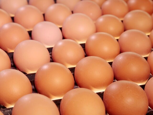    Фото: depositphotos/reflex_safak