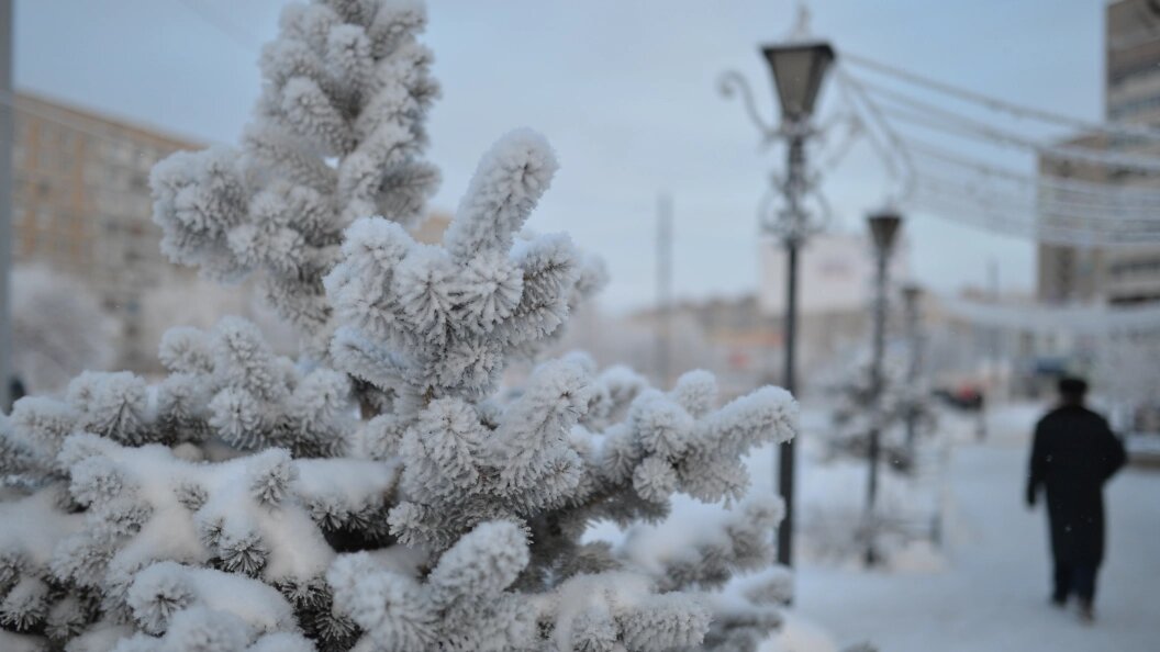    Фото: Царьград