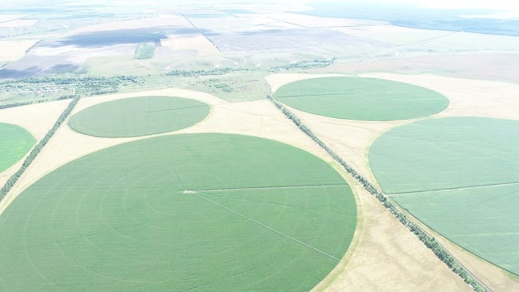    Фото: «Агро-Инвест»