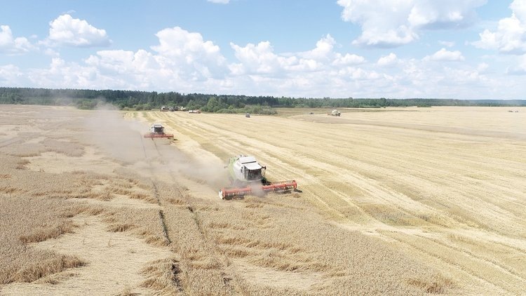 Фото: «Агро-Инвест».📷    АПК — это про IT, технику и результат: как технологии привлекают в отрасль молодые кадры
