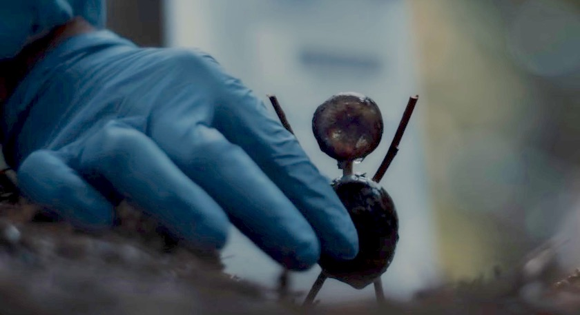 «Каштановый человечек», реж. Миккел Серуп, Каспер Барфоэд. Фото: Кадр из сериала, Netflix