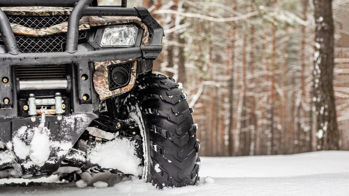    Фото: Gorloff-KV/Shutterstock/Fotodom