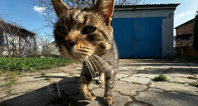    Фото из архива редакции