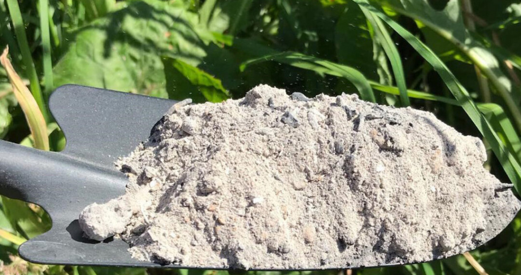 Для каких растений зола опасна: непростое удобрение с предсказуемым результатом