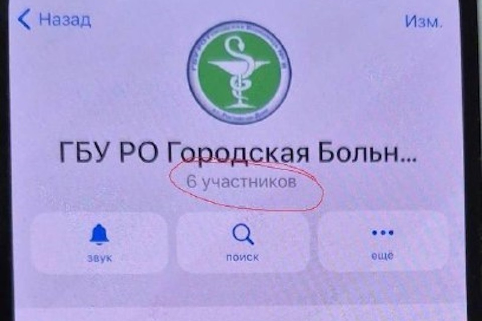    Ростовчан предупредили о фейковом чате больницы. Фото: telegram-канал городской больницы №8.