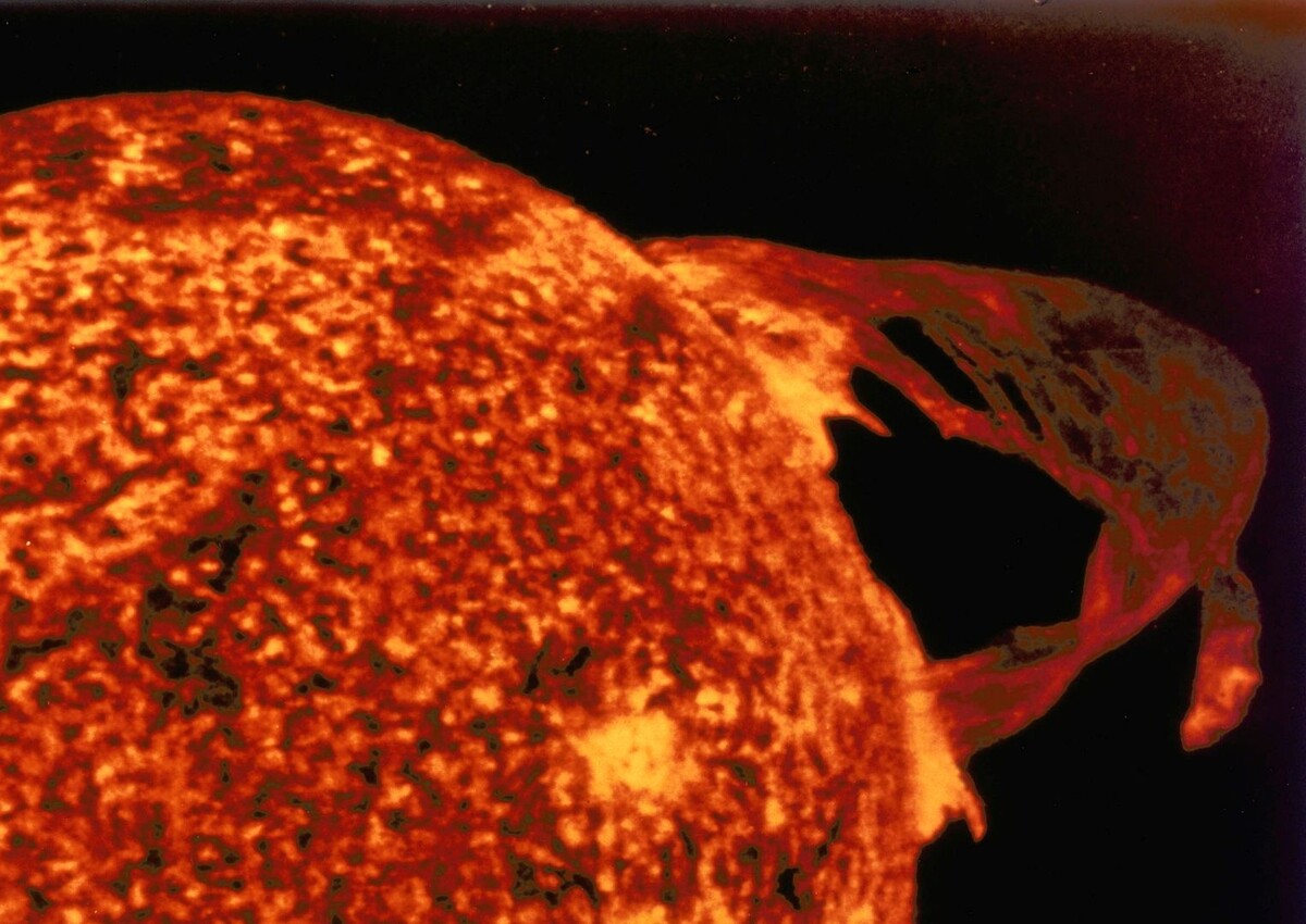     / Источник: © Global Look Press