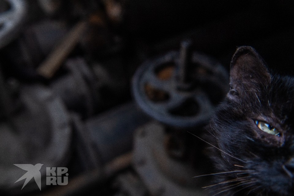    Появился полный список адресов в центре Рязани, где 22 декабря отключили тепло Виктор ГУСЕЙНОВ