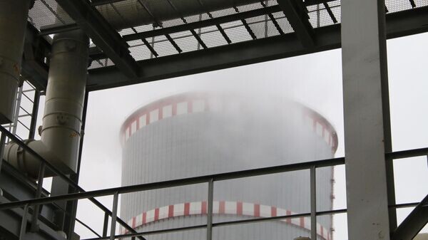    © Sputnik / Александр Жибуль