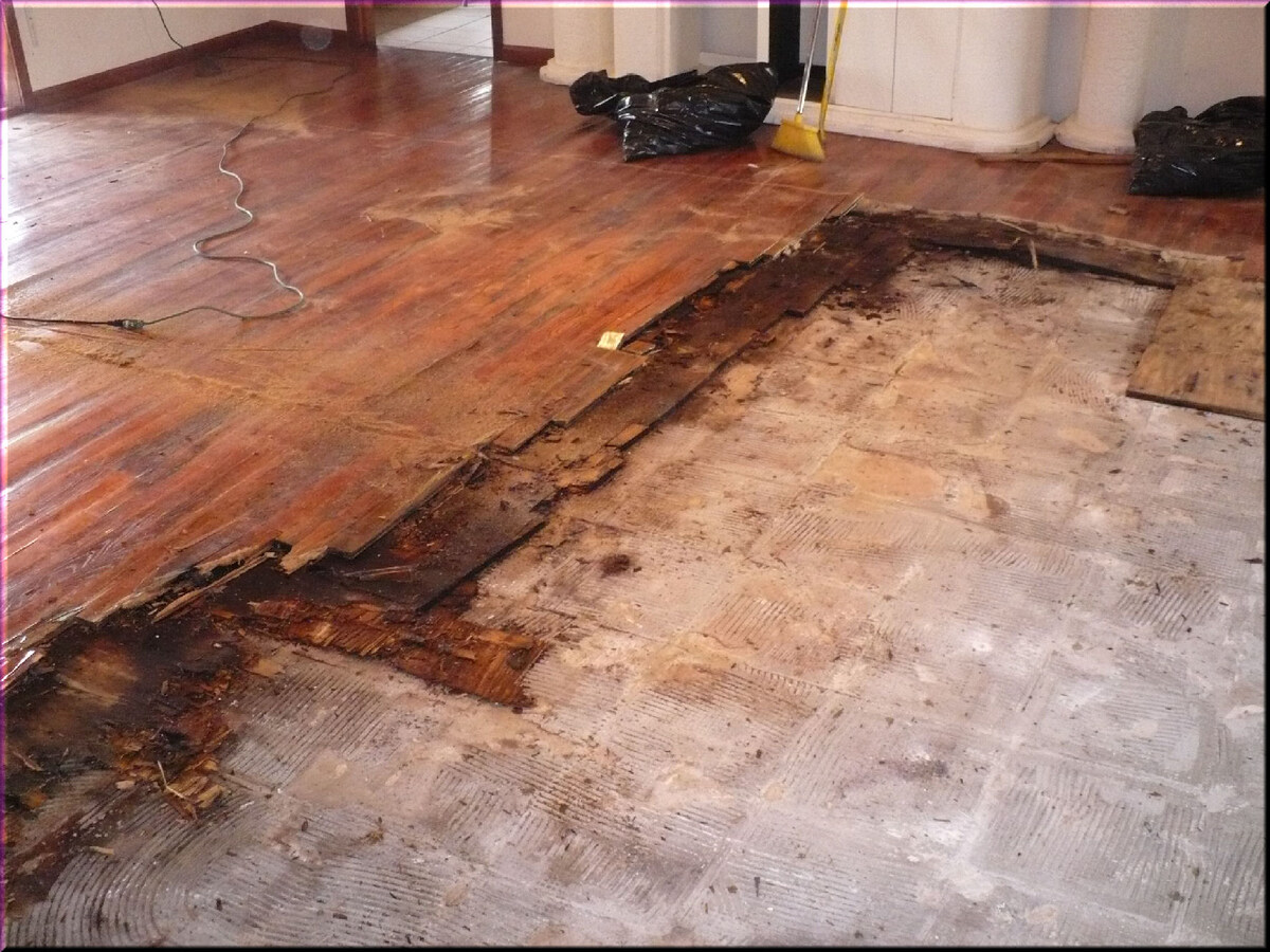 storage.googleapis.com