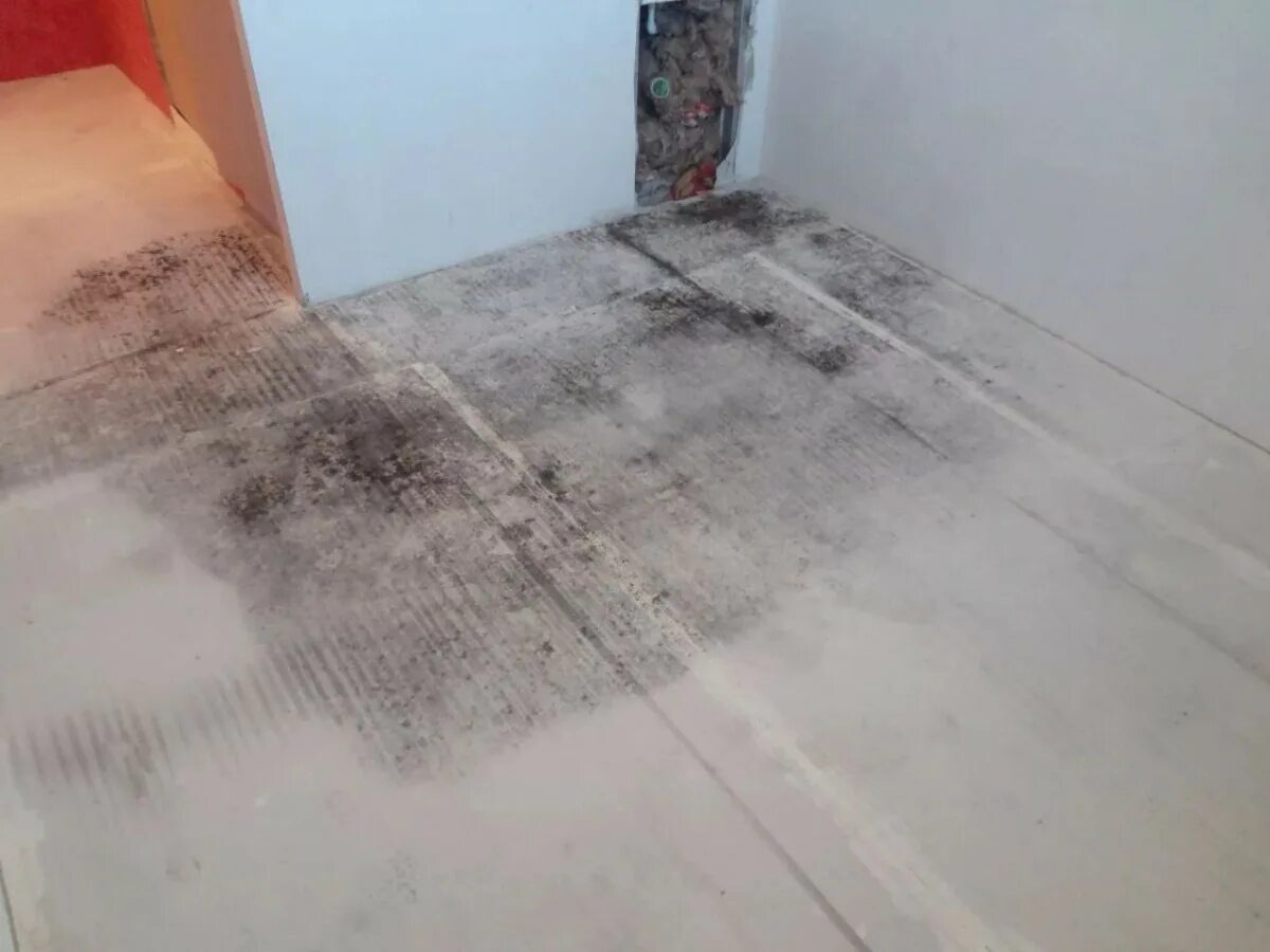 монопольныеполы.рф