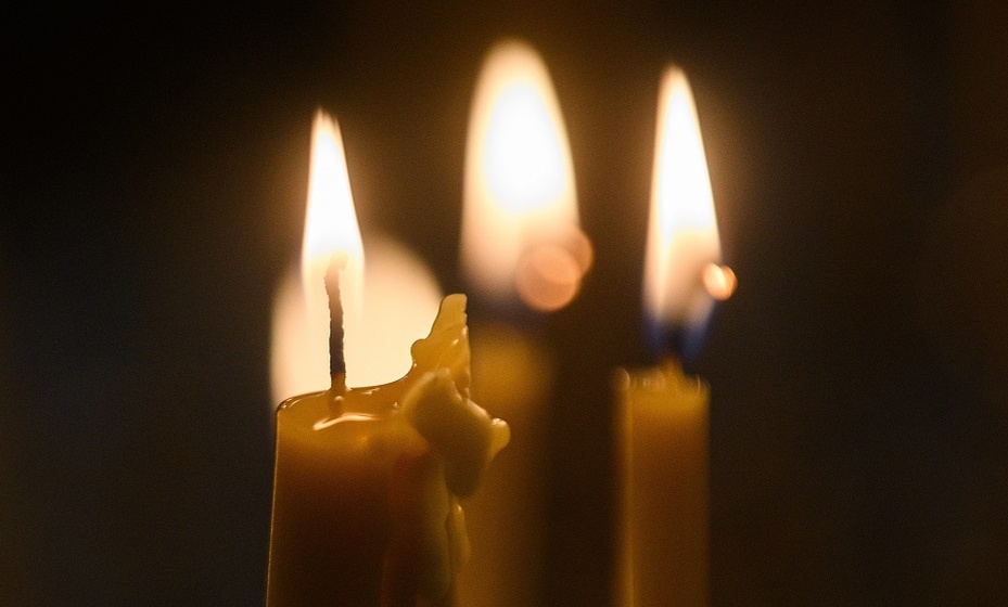    На 88-м году жизни скончался заслуженный тренер СССР Николай Есин. Фото: Global Look Press