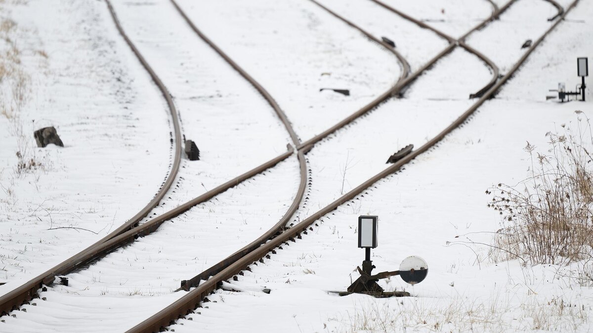    Фото: Sebastian Kahnert/globallookpress.com