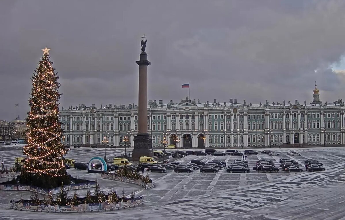    Фото: скрин видовой камеры Эрмитажа