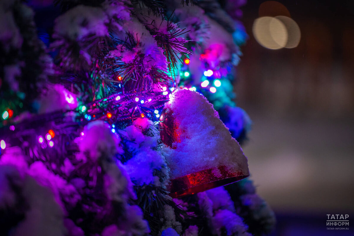 Фото: © Владимир Васильев / «Татар-информ»