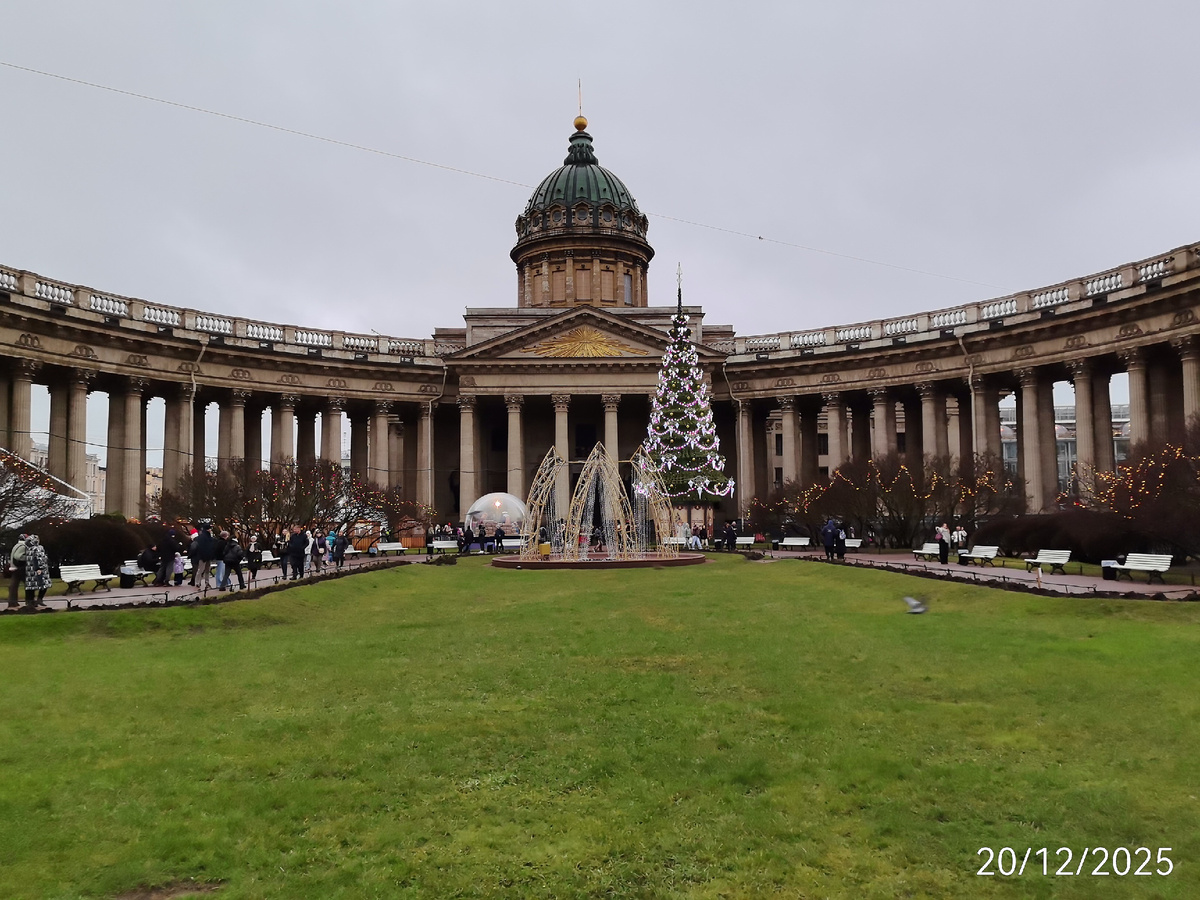 Елка и газон у Казанского собора