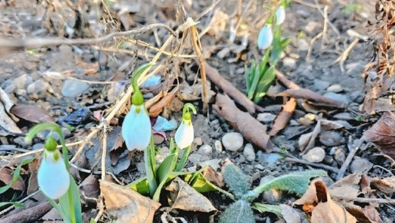      Фото: администрация Предгорья