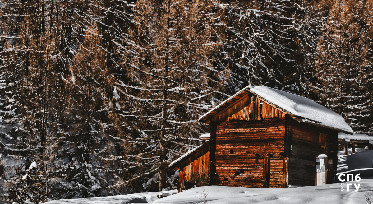 Источник: Freepik