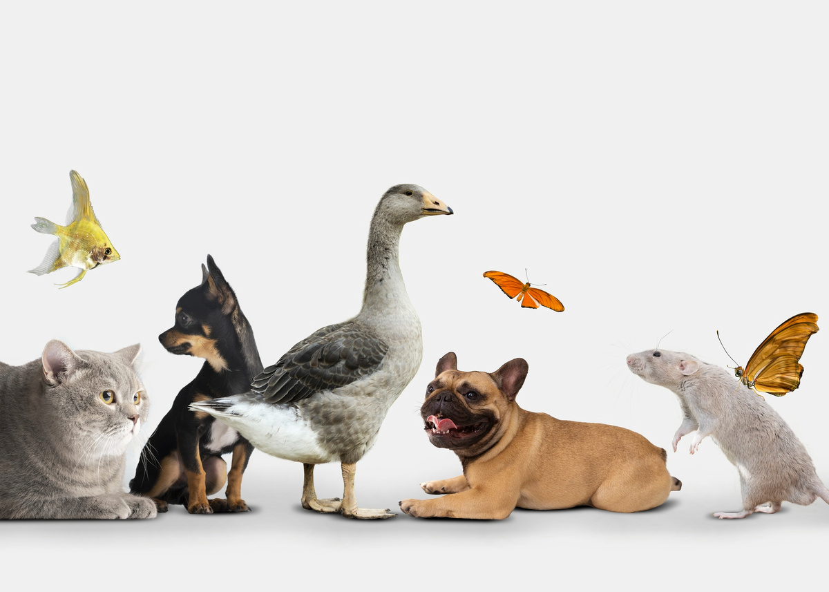 Изображение взято с сайта freepik.es 