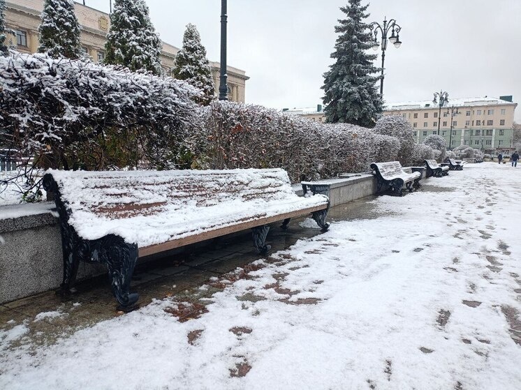     Фото: МК в Пензе