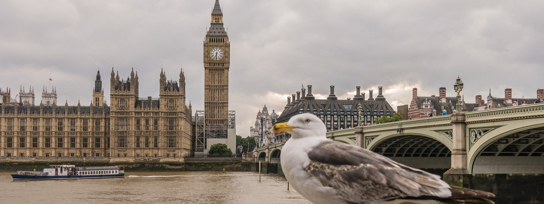 Кем на самом де­ле был Джек-по­тро­ши­тель? Раз­гад­ка тайны