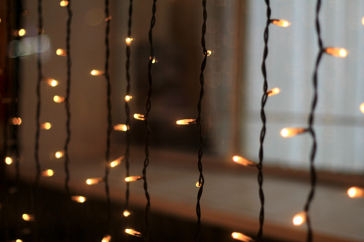 Фото: Shutterstock