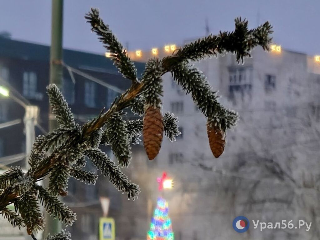    В начале рабочей недели в Оренбургской области циклон, а дальше придут морозы до -28,-33°С