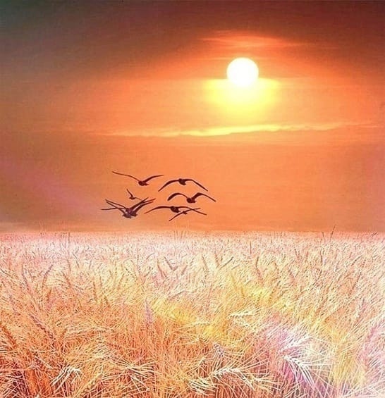 Фото из интернета