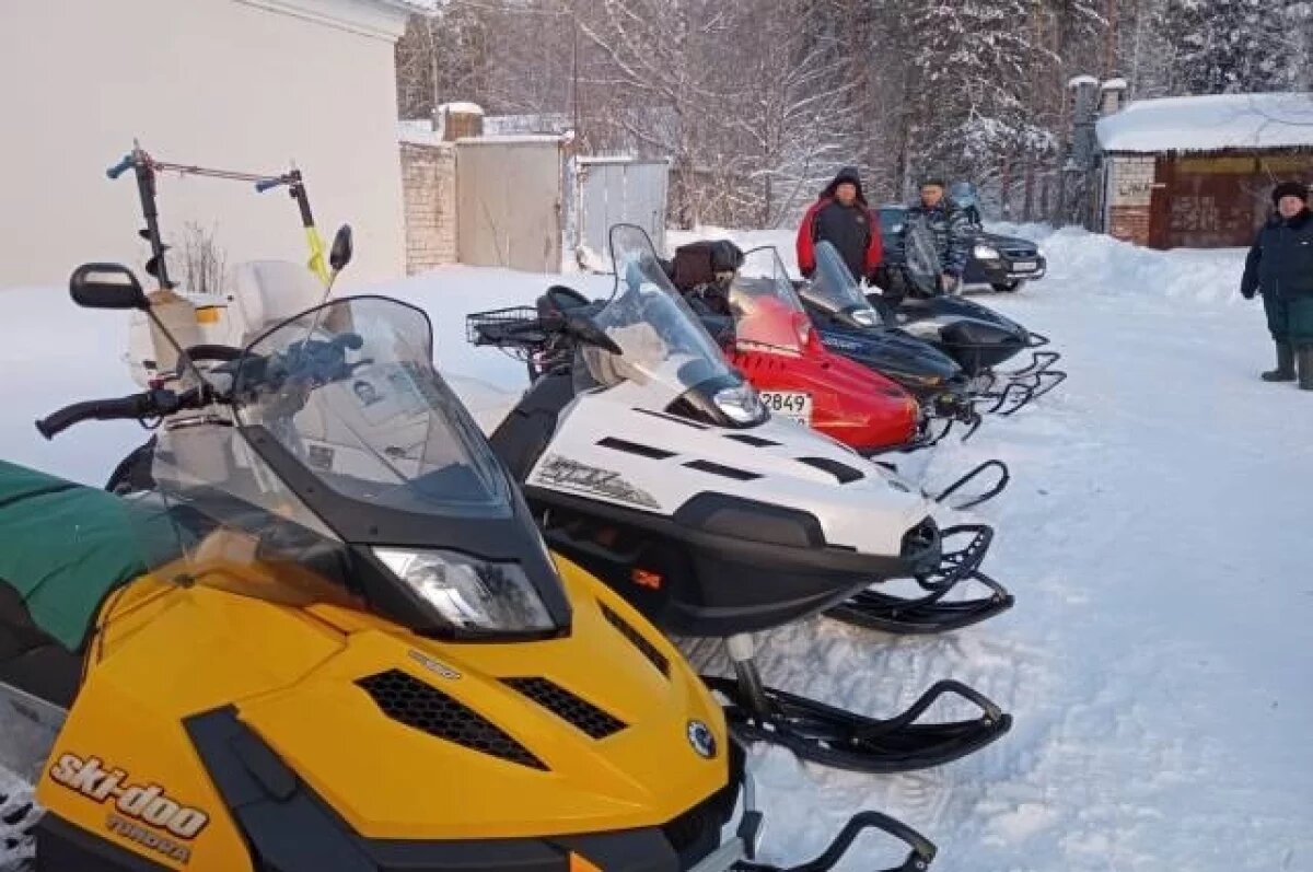    На Алтае пенсионерка купила несуществующий снегоход
