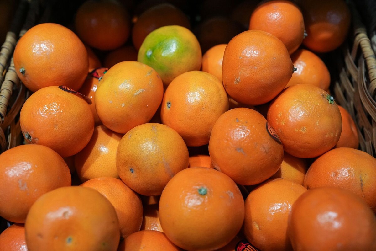     / Источник: © ИЗВЕСТИЯ/Дмитрий Коротаев