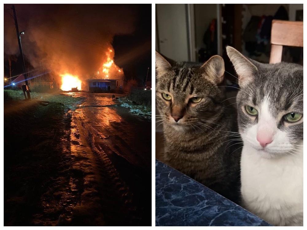    фото: © Женя Петрова